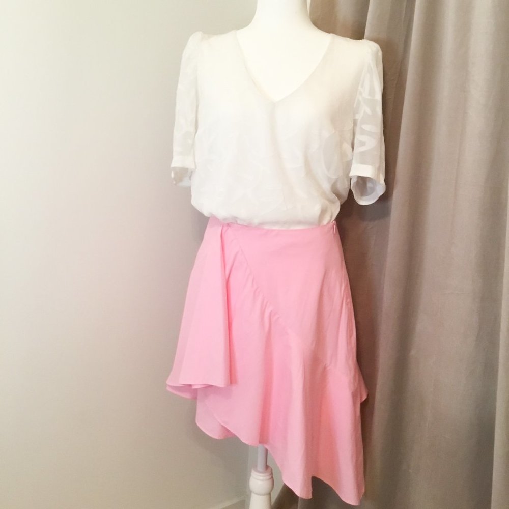 Pink Zara Skirt